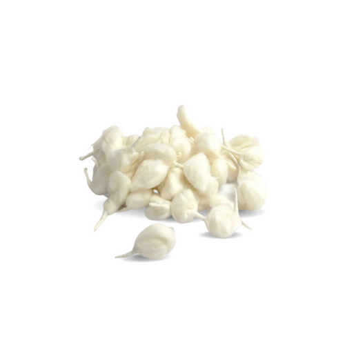 Cotton Wik